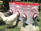 20lb BPA-Free Chicken Feeder with Large Ports