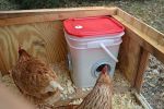 20lb BPA-Free Chicken Feeder with Large Ports