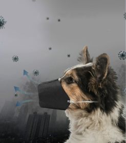 Go out pet mouth cover (Option: L-1pc)