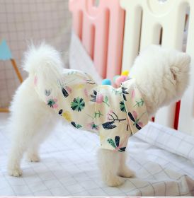 Small dog than the bear pomei thin summer cute shirt (Option: XL-Dragonfly)
